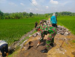 Babinsa Bangun Jalan Menuju Sawah, Mempermudah Akses Petani Menuju Sawah