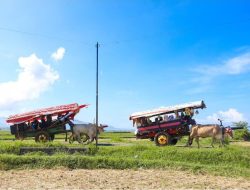 Arak-Arakan Pegon Jadi Daya Tarik Wisatawan pada Libur Lebaran di Watu Ulo dan Papuma*