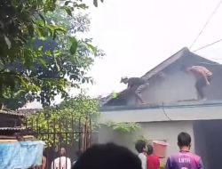 Diduga akibat konsleting listrik rumah ludes terbakar Dilalap Api di kelurahan Mangli kecamatan Kaliwates Jember 