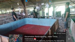 Dugaan Kuat Praktik Judi Sabung Ayam di kedungpreng Lamongan Kebal Razia, Warga Pertanyakan Ketegasan APH