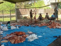 Perumahan Argopuro RW 16 Jember adakan kurban sapi dan kambing setiap tahun 