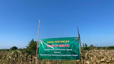 TNI Bersama Masyarakat Panen Jagung, Dukung Swasembada Pangan Nasional di Bojonegoro