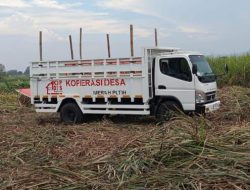 ​Aset KDMP Suciharjo Jadi “Sapi Perah” Oknum Perangkat Desa? Warga Desak Audit Transparansi