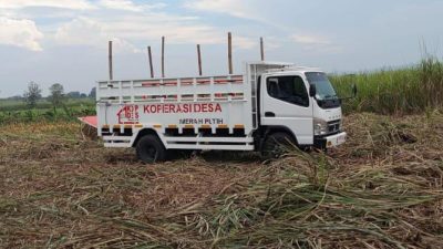 ​Aset KDMP Suciharjo Jadi “Sapi Perah” Oknum Perangkat Desa? Warga Desak Audit Transparansi